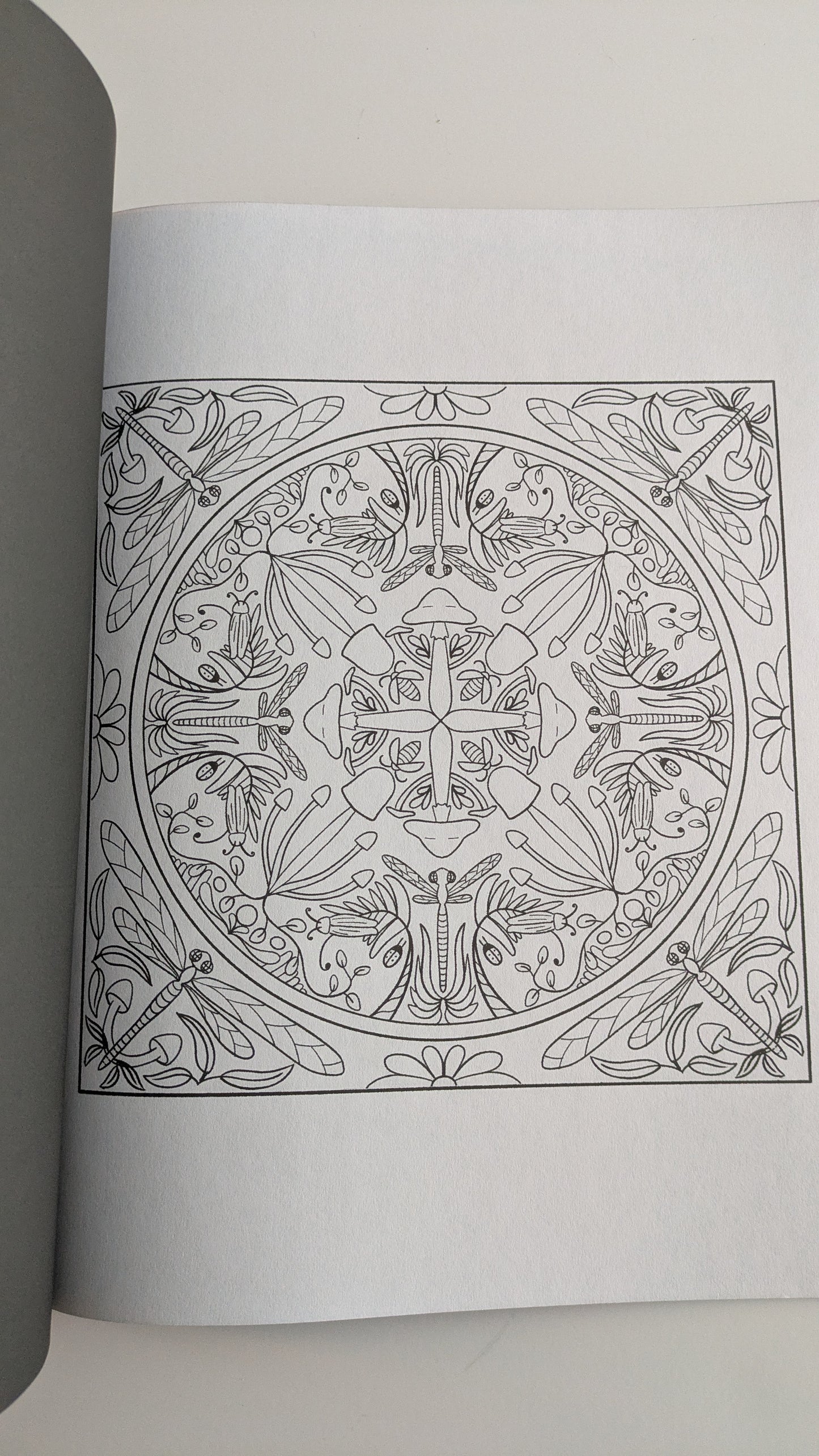 Nature Patterns: Coloring Book for Adults image 5