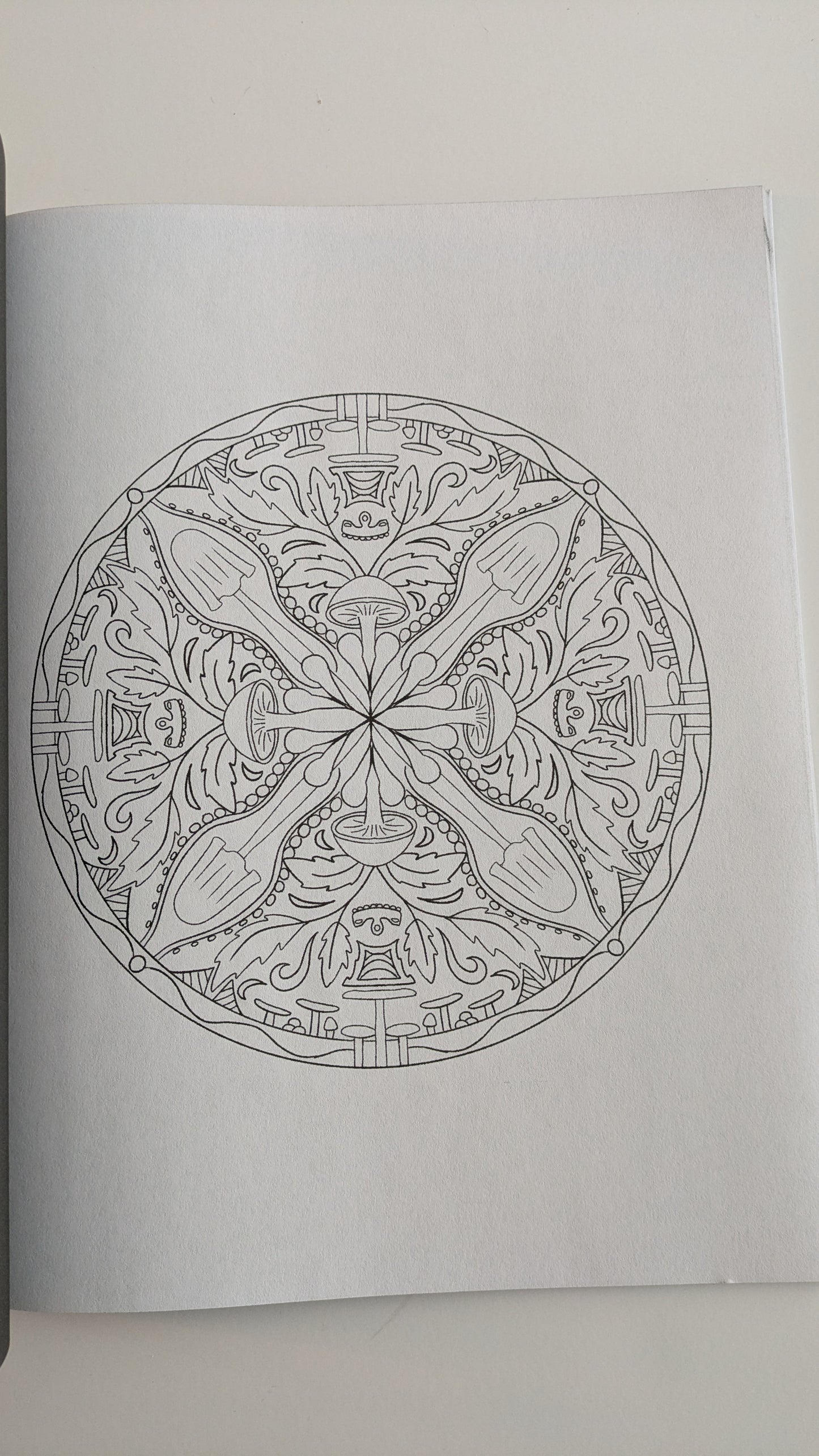 Nature Patterns: Coloring Book for Adults image 4