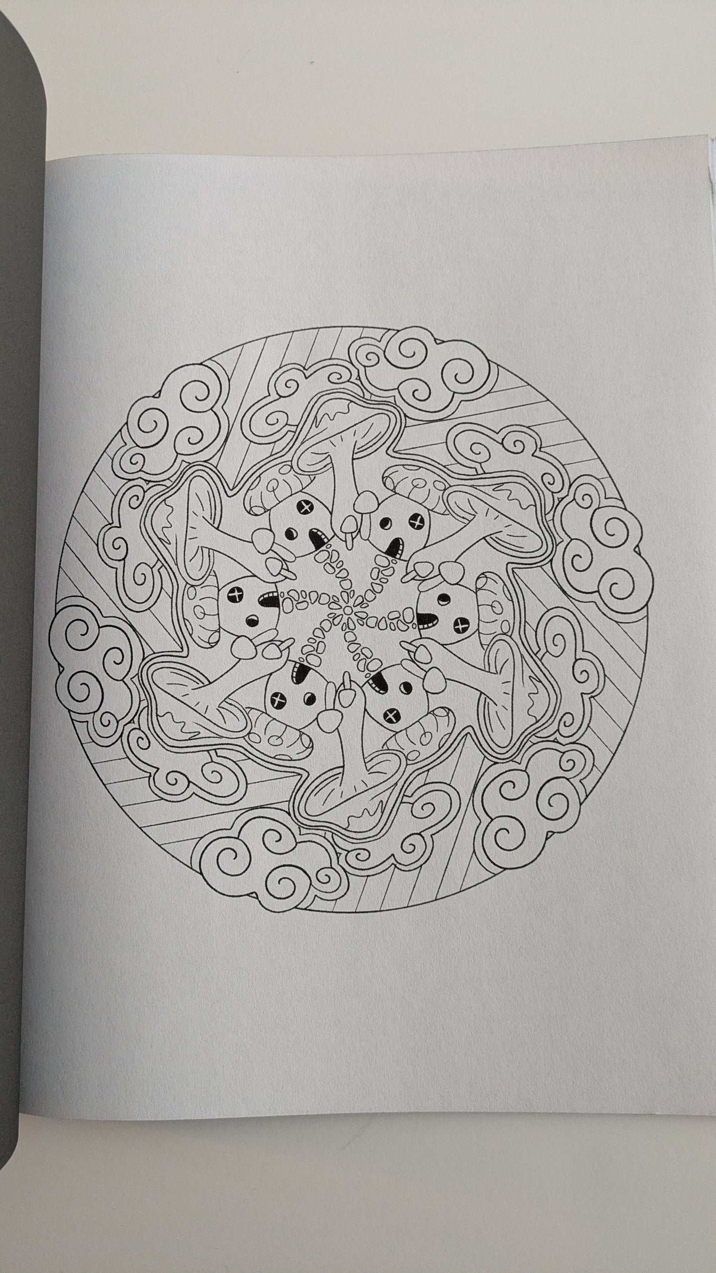 Nature Patterns: Coloring Book for Adults image 2
