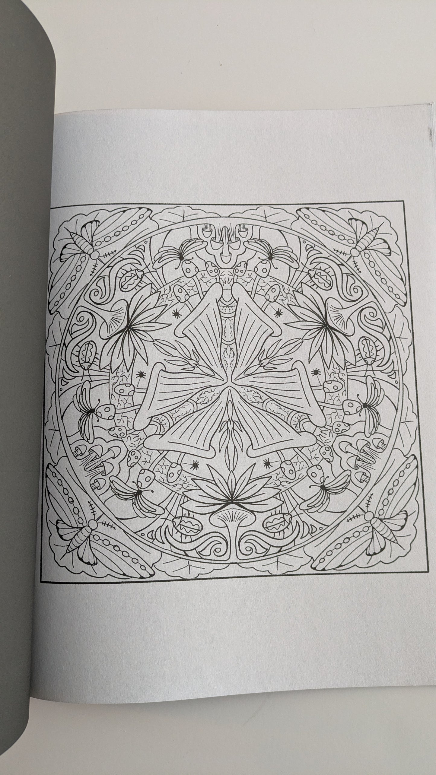 Nature Patterns: Coloring Book for Adults image 7