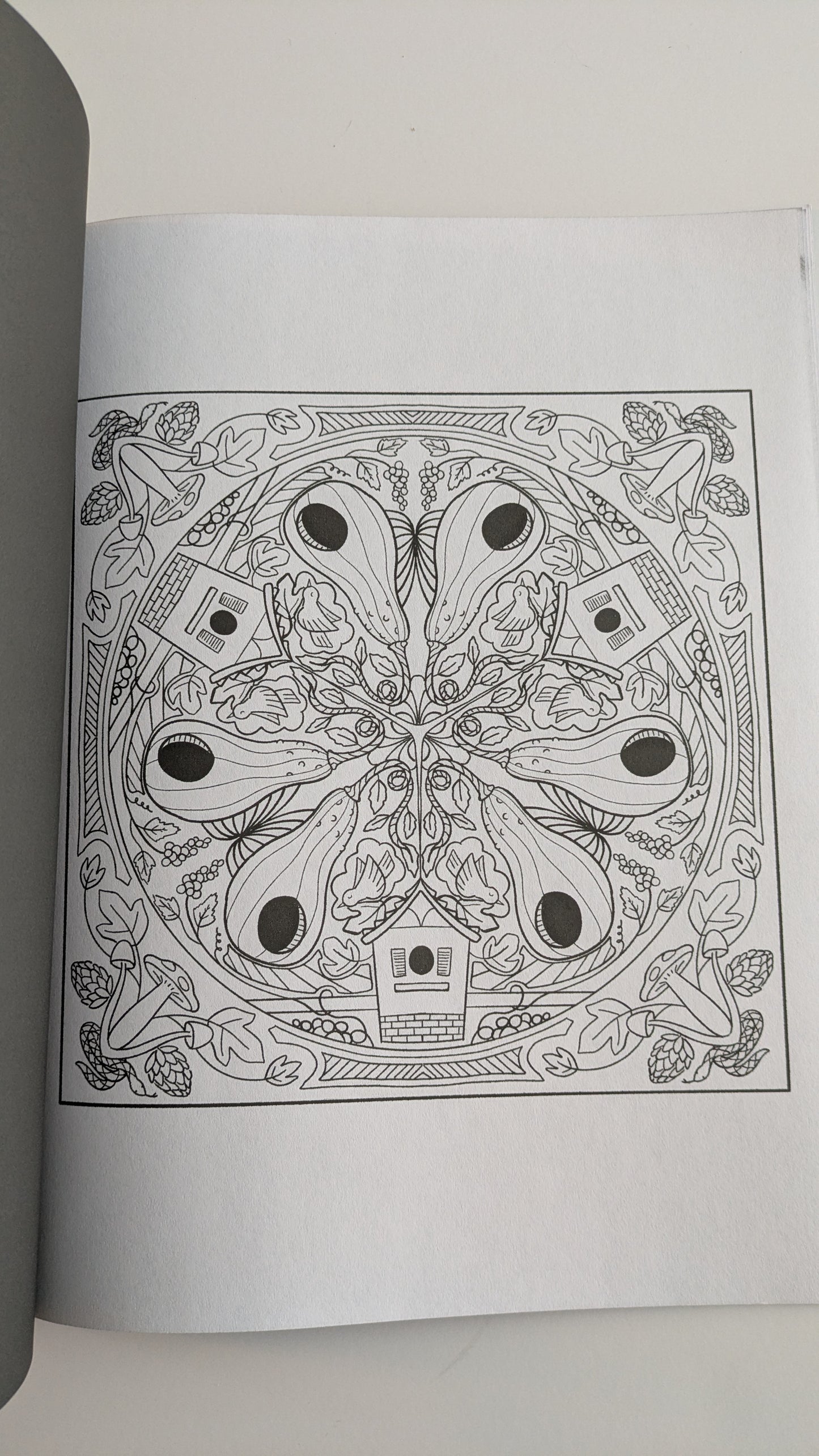 Nature Patterns: Coloring Book for Adults image 6