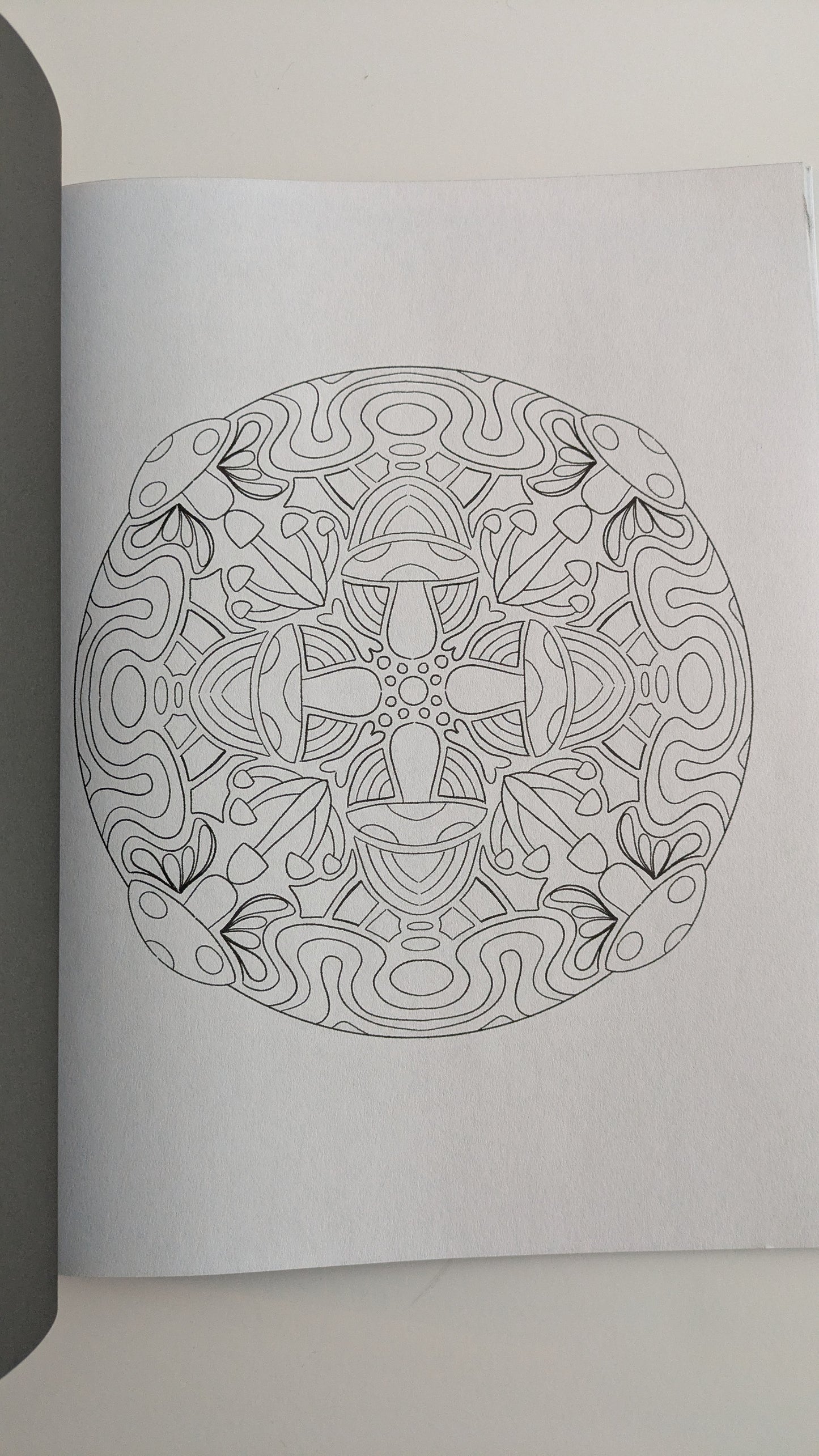 Nature Patterns: Coloring Book for Adults image 3