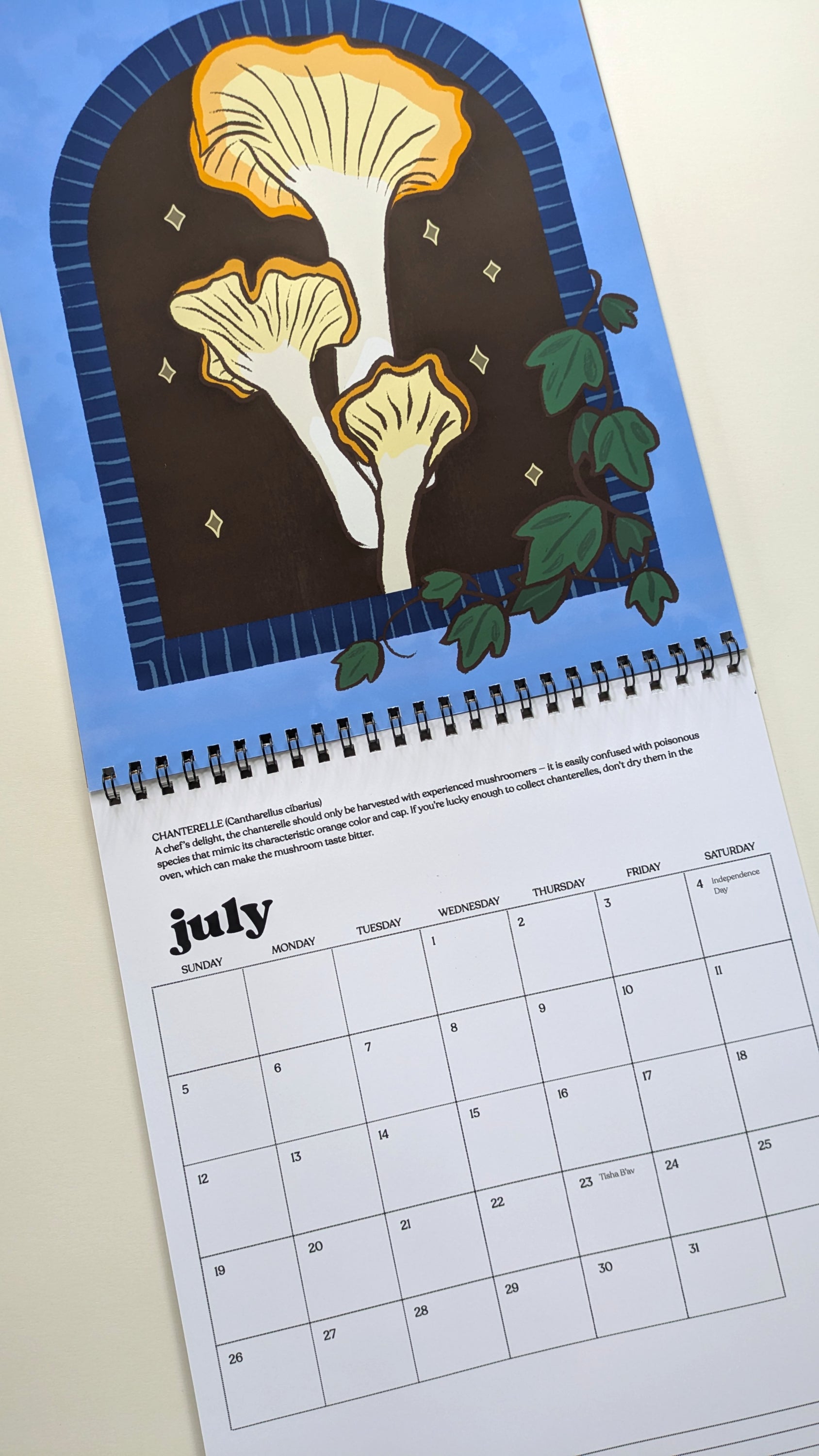 Wild Mushrooms 2026 Wall Calendar image 3