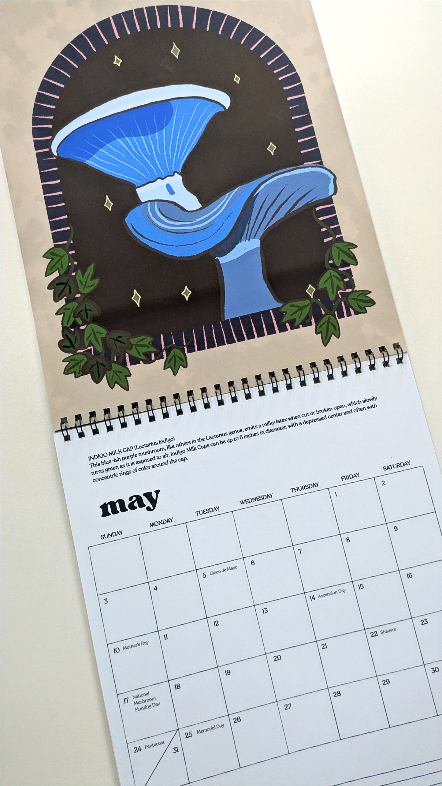 Wild Mushrooms 2026 Wall Calendar image 4