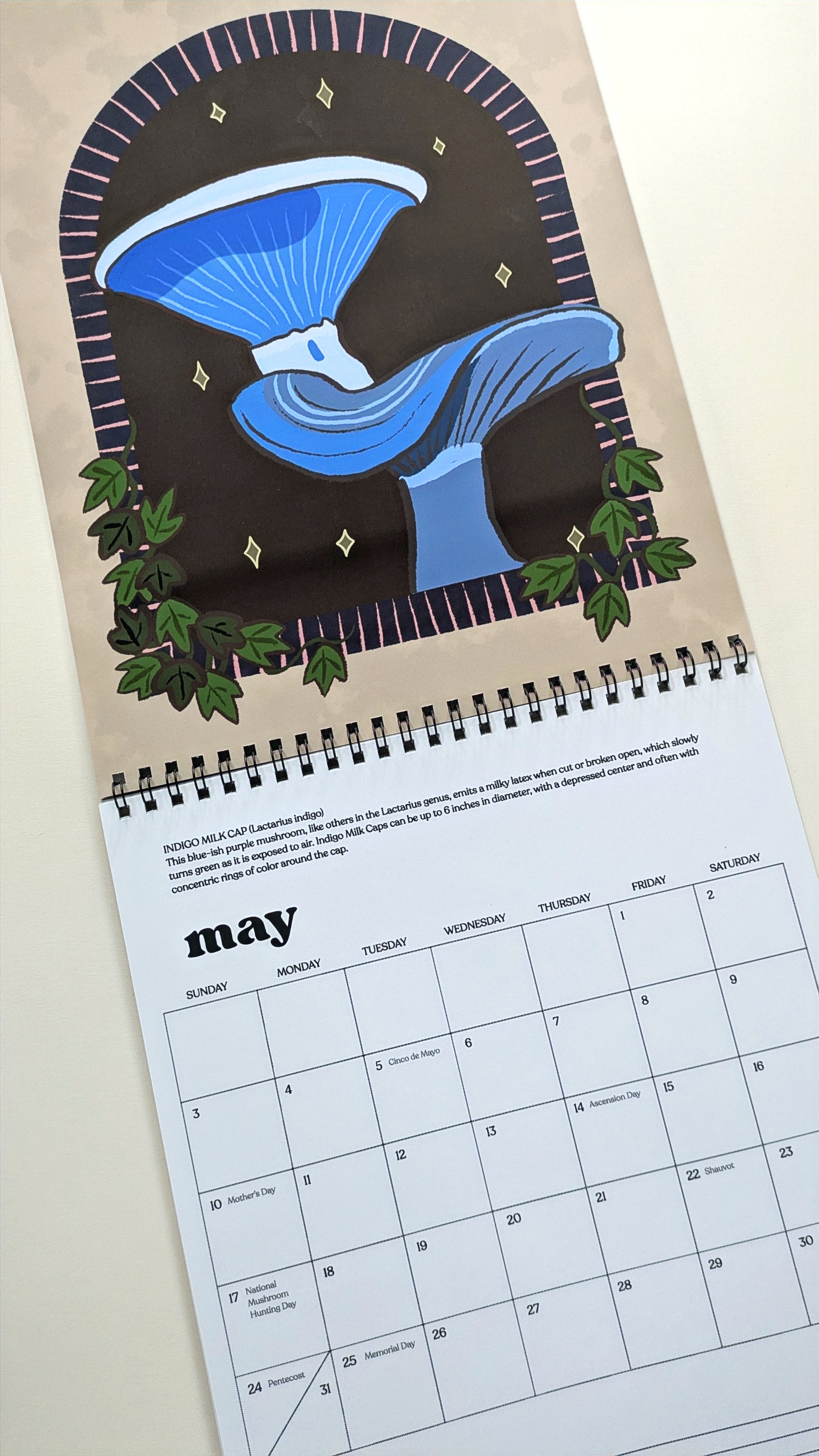 Wild Mushrooms 2026 Wall Calendar image 4