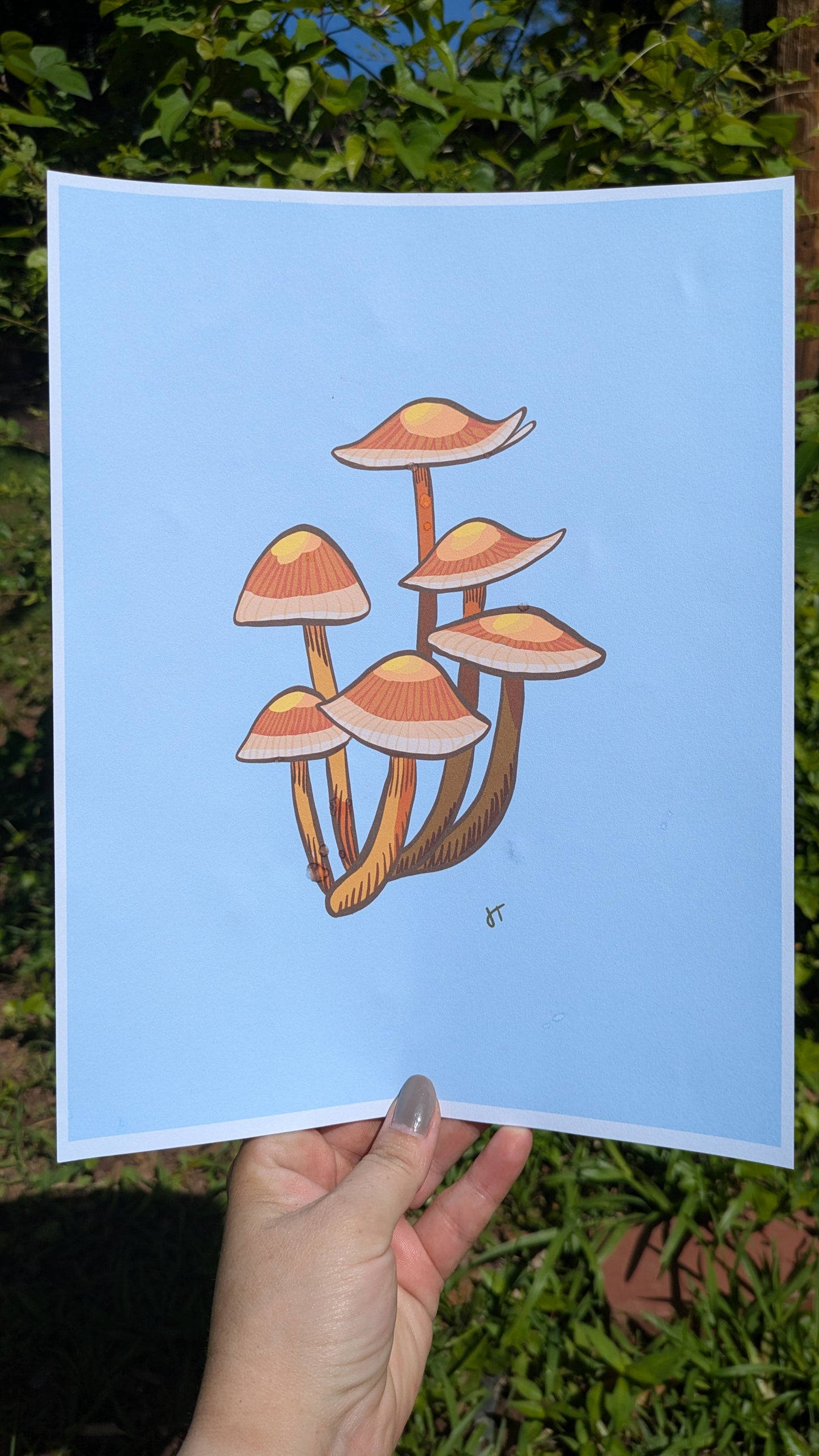 Cluster of Mushrooms Print image 2