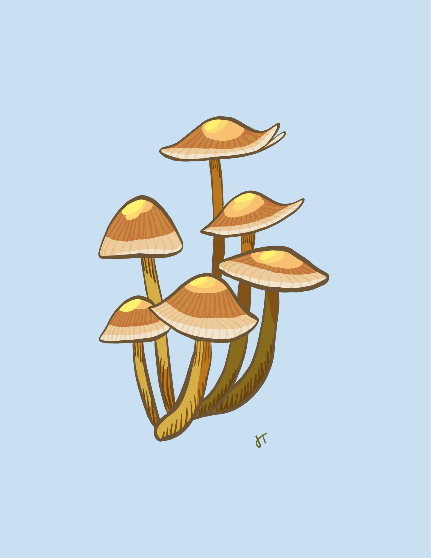 Cluster of Mushrooms Print image 0